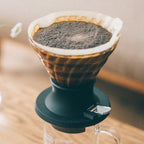 Hario Switch Immersion Dripper
